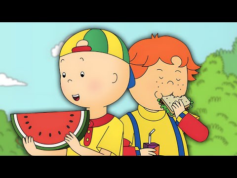 Kajtuś na pikniku | Kajtuś po Polsku [Caillou] - WildBrain