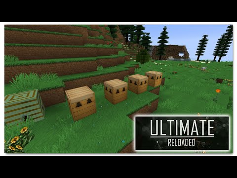 Starting Bees In Forestry - FTB Ultimate Reloaded - Episode 03