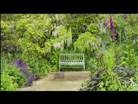 OPwekking 808 Ik leef in U