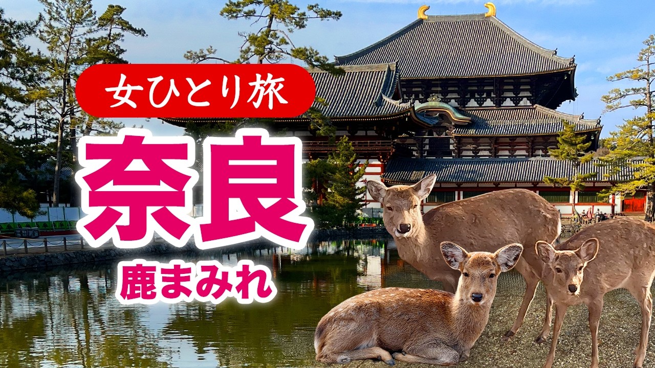 【女ひとり旅】奈良で鹿まみれ♡ 世界遺産 2026.02【国内旅行】