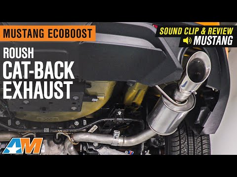 2015-2020 Mustang EcoBoost Roush Cat-Back Exhaust Sound Clip & Review