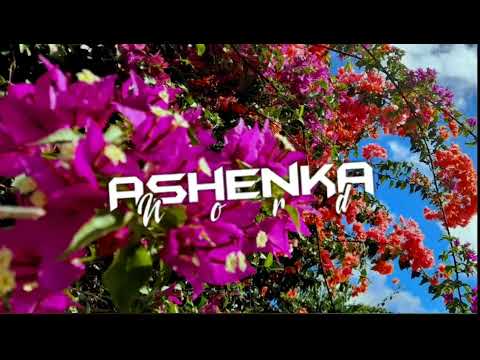 • DJ RIIKS × ZINNIA - Hold My Hand [ Remix Zynbeat 2022]