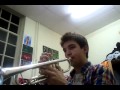 High Clouds and A Good Chance Of Wayne / Wayne Bergeron Cover