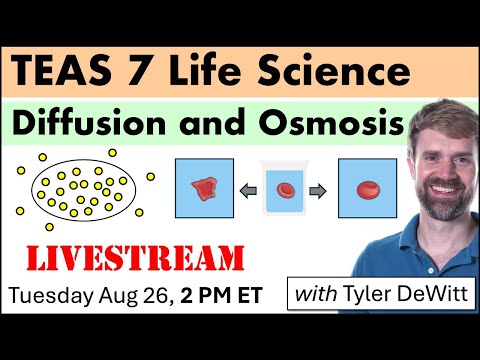 TEAS 7 Science: Diffusion and Osmosis Lesson