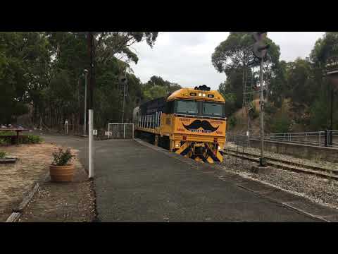 NR66(Movember) Overland