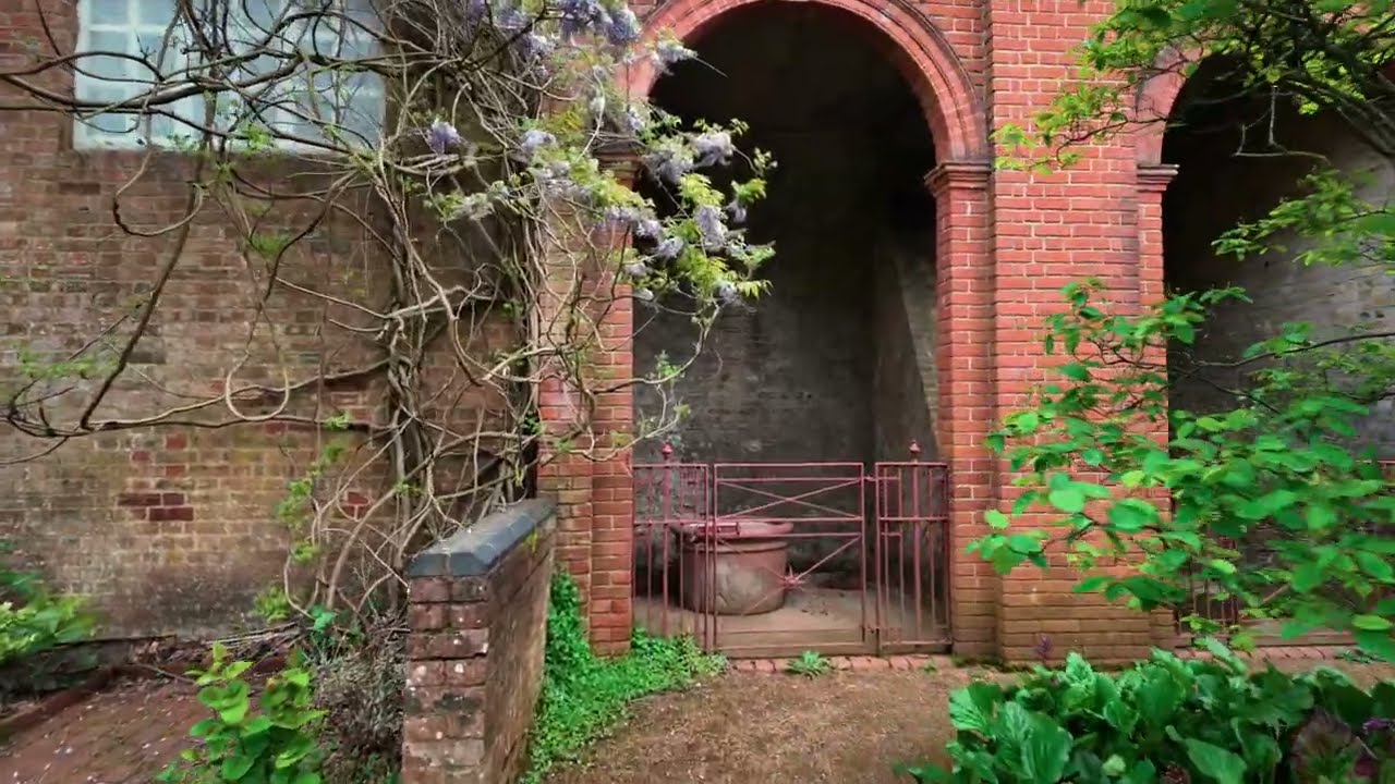 Embark on an enchanting walking tour of The Hill Garden & Pergola.