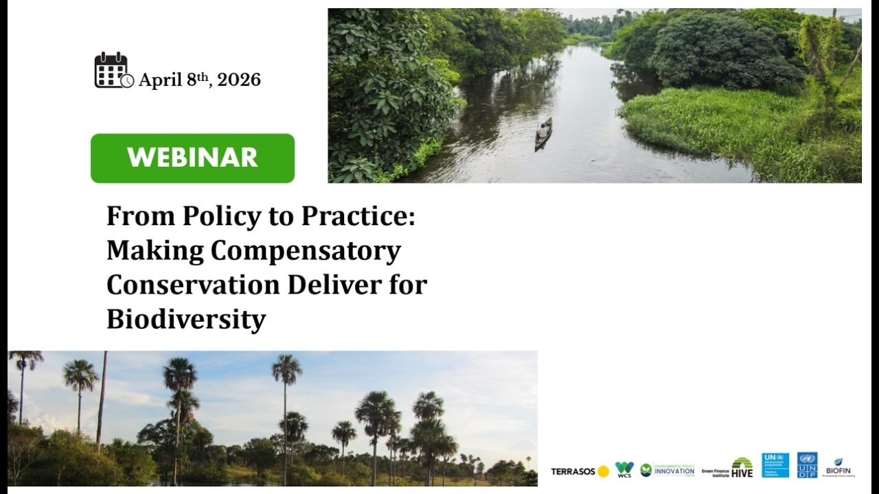 From Policy to Practice: Making Compensatory Conservation Deliver for Biodiversity