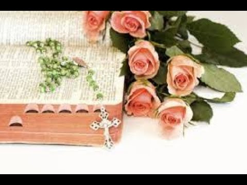 Dia 9 de Julho Liturgia Diária