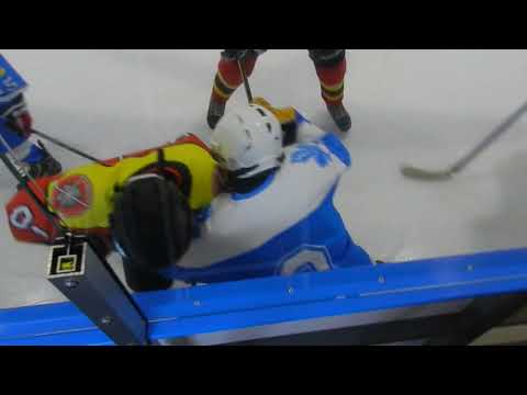 HC “Sokil” Kiev - HC “Avtomobilist” Kiev 11/10/2018 (8:4)