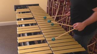 Colin Currie plays on the One Vibe™ by Marimba One™