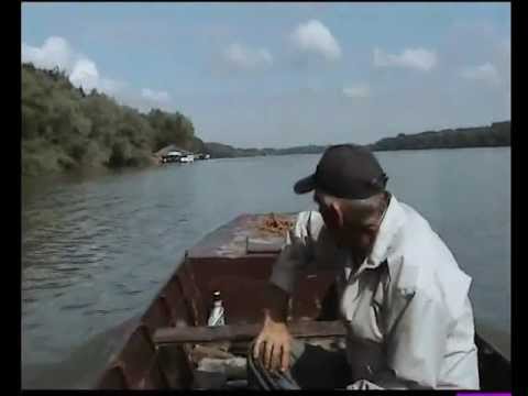 Buđenje ranog proleća