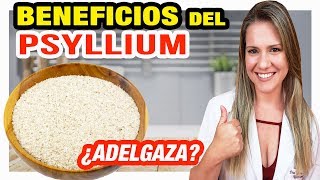 Beneficios del Psyllium – Para Que Sirve y Cómo Tomar [¿Adelgaza]