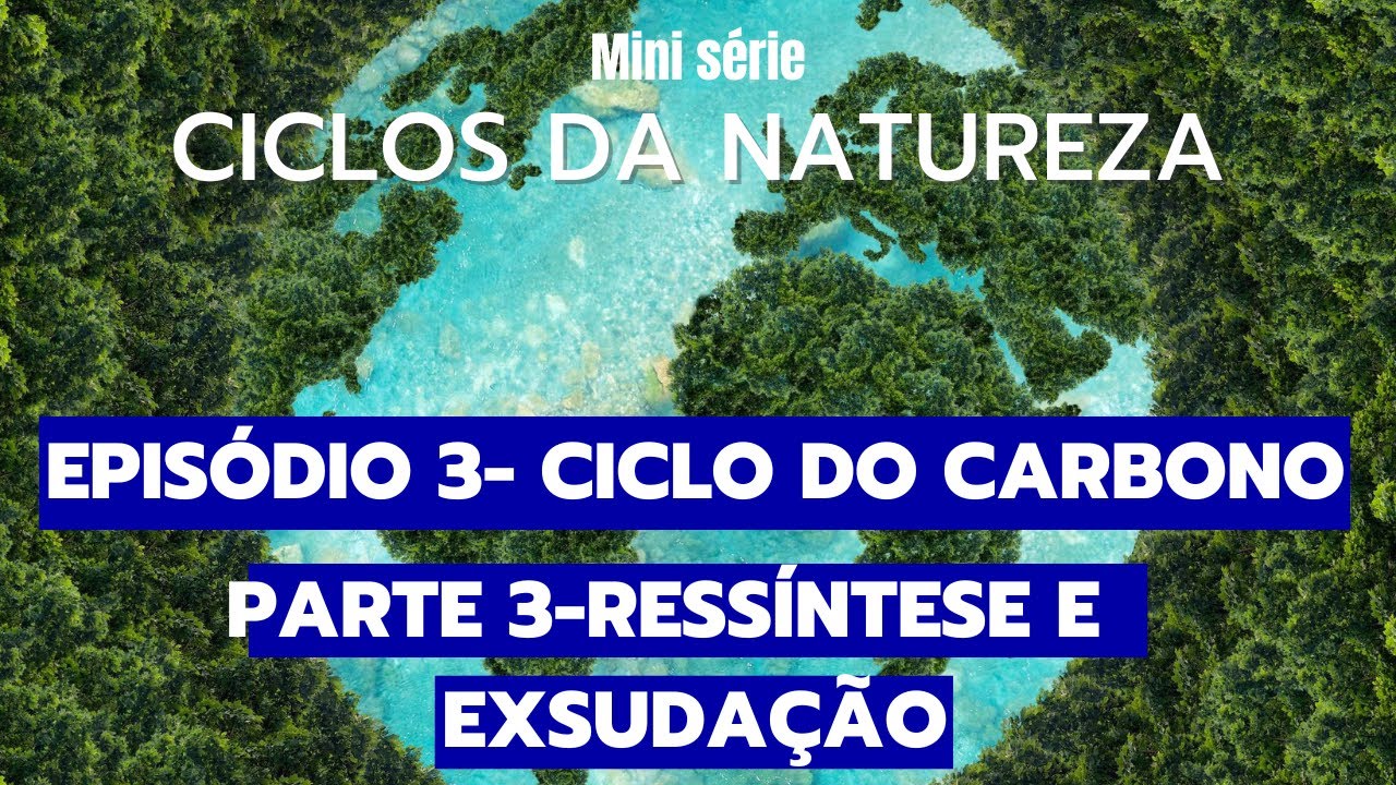 Mini série - CICLOS DA NATUREZA - Episódio 3: CICLO DO CARBONO - RESSÍNTESE E EXSUDAÇÃO. PARTE 3.