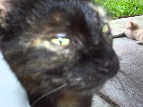 Nuyorican Soul Featuring Jocelyn Brown -- It's Alright I Feel It (Roni Size Remix)