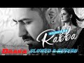 Koi Aaye Na Rabba Slowed And Reverb B Praak DAAKA