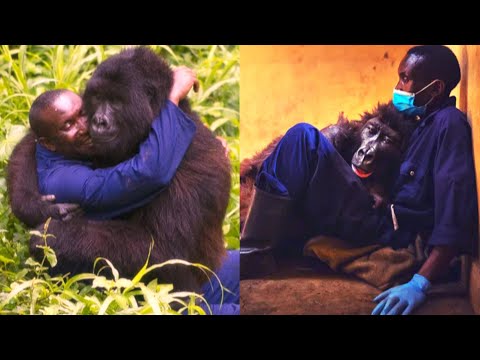 Don’t Watch If You’re Afraid to Smile (Or Cry)