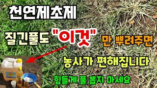 제초제 말고 천연제초제 텃밭 질긴풀도 식초를 이렇게 뿌려주면 농사가 편해집니다 식초제초제 풀제거방법 3배식초…