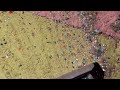 Helix Crunch With Kitchen Sink Mix New Rug Vacuumsensation Thank You