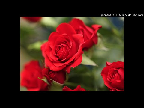 C. Monteverdi - Interrotte Speranze