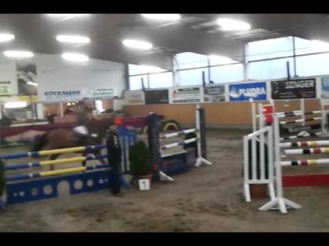 Albatros x Lycos six years old!!!!!