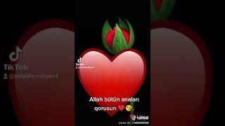 Rohollah Dünyamsan