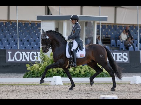 Alberto García-Briñón y Pampero FS en la Preliminar de 7 años (68.525%).