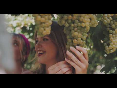 Dalibor Brun - Jedna žena plava (Official lyric video)