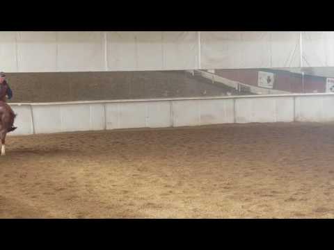 Schwagger 2 yrold REF Black Mamba