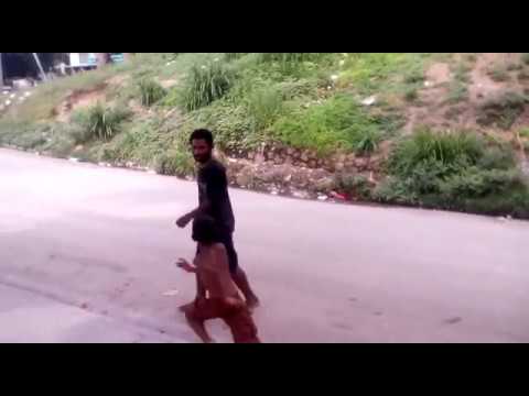 Tricked by kids | This poor guy doesnt know what the kids have for him