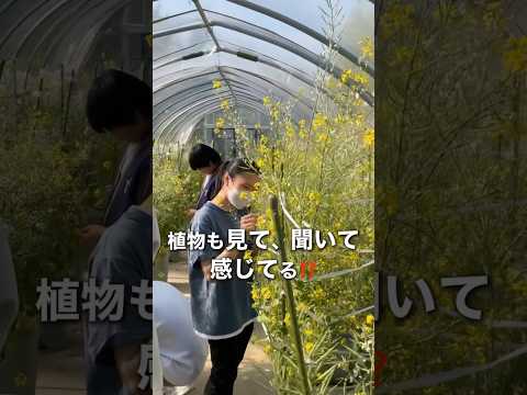 バイオデータサイエンス学科 植物も見て、聞いて、感じてる？