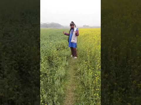 Sonjoy maloya paglare mona