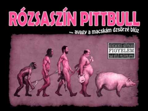 Rózsaszín pitbull - Ig iz tib