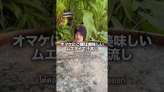 20代でタイ移住した男の末路👀#タイ移住 #海外移住