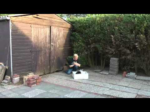 Gaatse Zoodsma - Dierenliefde - lokatie De Westereen / Zwaagwesteinde