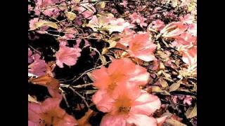 Daryl Hance "A Breath Away"