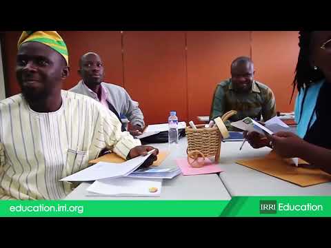 IRRI Education Overview