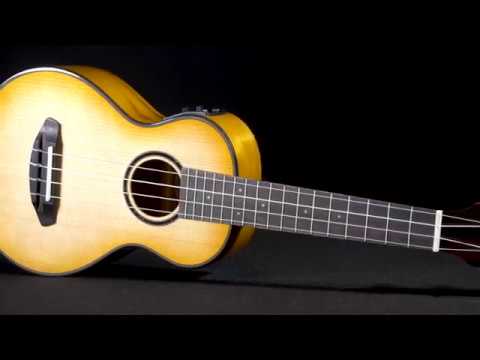 BREEDLOVE LU’AU CONCERT NATURAL SHADOW E UKULELE image 12