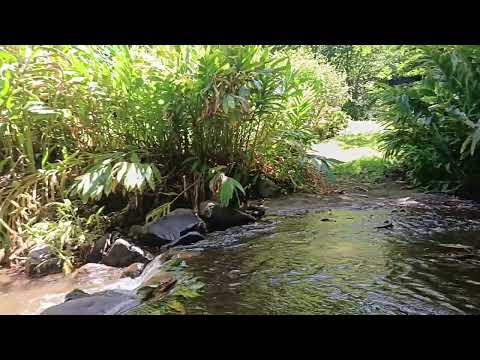 img-video