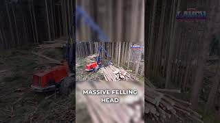 Valmet 911.3: The Ultimate Tree Harvesting Machine!