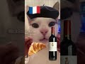 French Cat Vs Arabic Cat