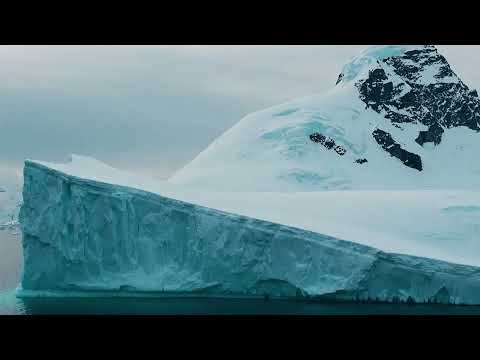 Acart - Anxious Monk (OFFICIAL VIDEO)