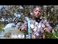 Mumulilo Nakabili Luzango Save Us