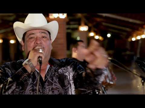 EL TIGRILLO PALMA -     FLOR DE DALIA