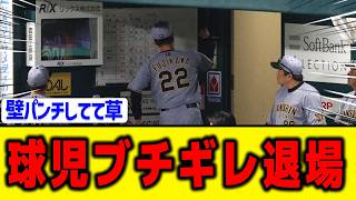 【ブルガリア】阪神藤川監督、ブチギレ退場