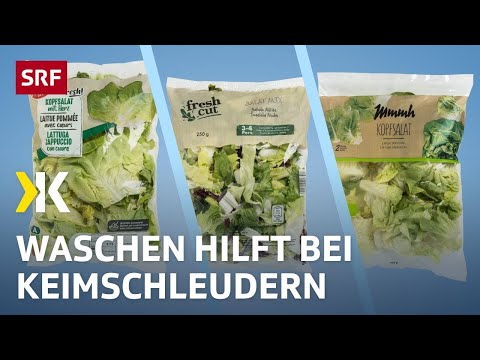 Bagged salads tested: Germs spoil your appetite | 2023 | Kassensturz | SRF