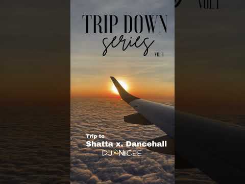 Shatta X Dancehall 2024 Mix