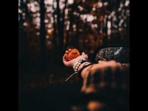 AANEWALA KAL EK SAPNA HAI GUZRA HUA KAL BAS APNA HAI-| KUMAR SANU