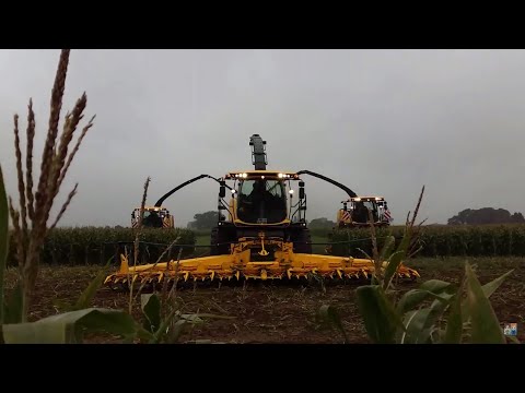 PREMIERE NEW HOLLAND FR 780/FR 700/FR550 NEW T7.210 [DEUTSCH/FULL-HD]