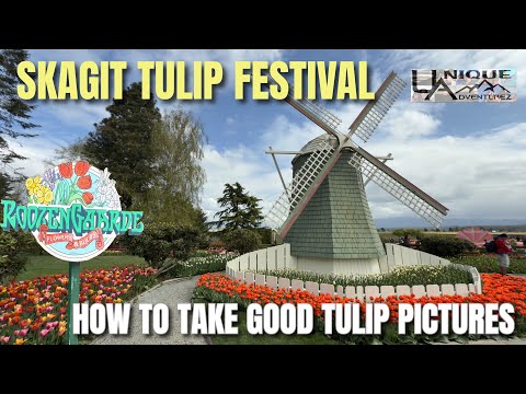 A Perfect Day at the Skagit Valley Tulip Festival: RoozenGaarde & Photography Tips