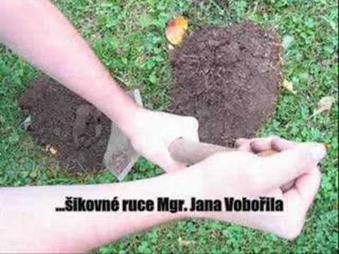 download lagu mp3 mp4 2007 Odyssea, download mp3 2007 Odyssea free downloadn, video klip 2007 Odyssea